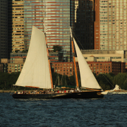 Les filles de New-York City - Voilier navigant devant des gratte-ciel