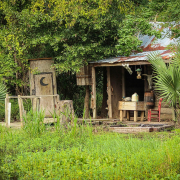 Jambalaya sur le bayou - Cabane Cajun dans le bayou