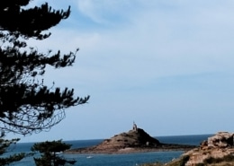 vue de l'ilot Saint Michel à Erquy